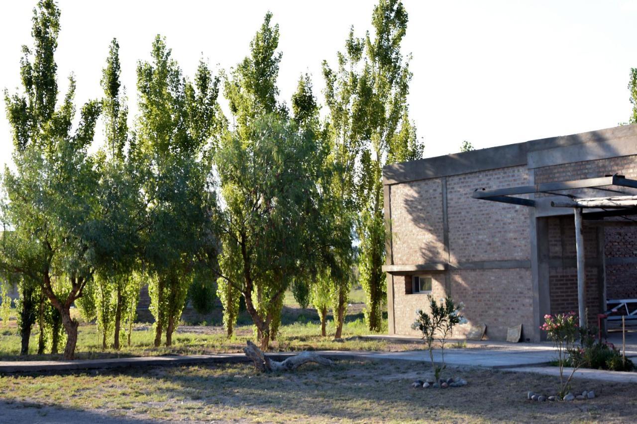 Cabanas De La Bodega Romano-Pin Albardón エクステリア 写真